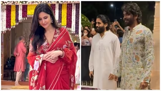 Dussehra 2023: Katrina Kaif, Yash, Radhika look splendid in traditional attires, Allu Arjun worships film equipment